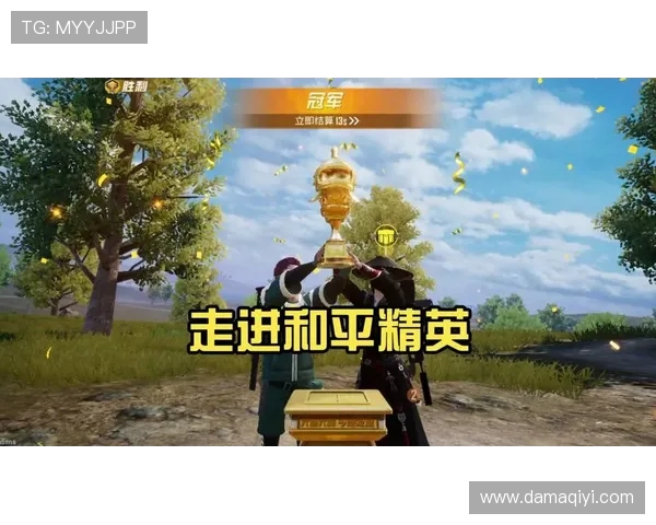 王秀英专访揭秘和平精英成功背后的策略与创新之路